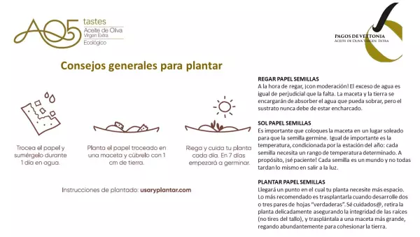 Instrucciones para plantar la etiqueta de las botellas de AOVE / AQ5 Sabores