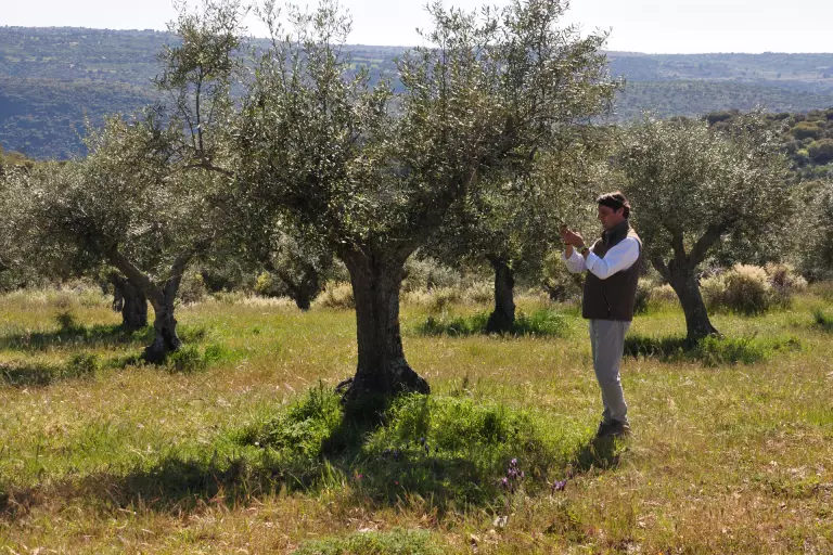 Responsabilidad Social Corporativa / Agricultura ecológica AQ5 Sabores